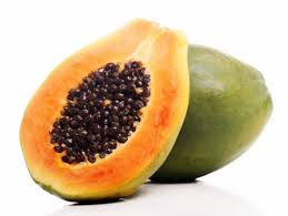 Papaya Tohumu